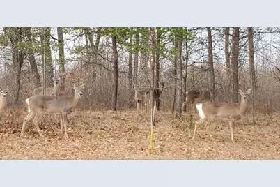 N11024  Deer Lake Rd, Stephenson, WI 54104 - Photo 67