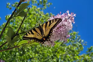 N11024 Deer Lake Rd, Stephenson, WI 54104 - Photo 69