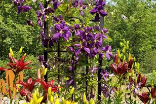 N11024 Deer Lake Rd, Stephenson, WI 54104 - Photo 73