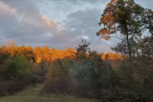 N11024 Deer Lake Rd, Stephenson, WI 54104 - Photo 57