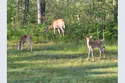 N11024  Deer Lake Rd, Stephenson, WI 54104 - Photo 75