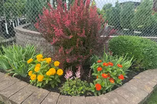 308 Grant St, Holmen, WI 54636 - Photo 47