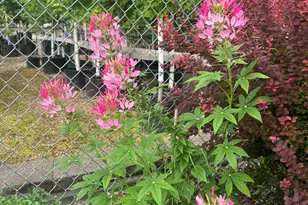 308 Grant St, Holmen, WI 54636 - Photo 49