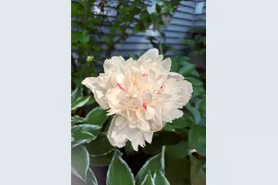 523  Valley Rd, Twin Lakes, WI 53181 - Photo 33