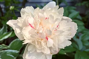 523 Valley Rd, Twin Lakes, WI 53181 - Photo 33