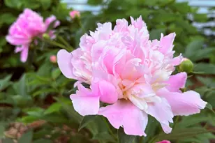 523 Valley Rd, Twin Lakes, WI 53181 - Photo 35