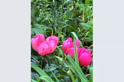 523  Valley Rd, Twin Lakes, WI 53181 - Photo 31