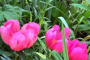 523 Valley Rd, Twin Lakes, WI 53181 - Photo 31