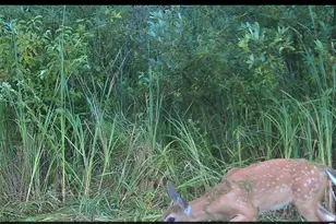 N7026 County Rd Dd -, Spring Prairie, WI 53105 - Photo 31