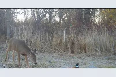 N7026  County Rd Dd -, Spring Prairie, WI 53105 - Photo 29