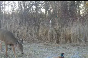 N7026 County Rd Dd -, Spring Prairie, WI 53105 - Photo 29