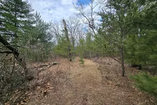 W6407 20th St, Necedah, WI 54646 - Photo 39