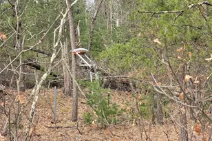 W6407 20th St, Necedah, WI 54646 - Photo 41