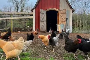 8139 W A Hwy, Richmond, WI 53115 - Photo 37