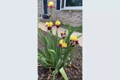 6120  242nd Ave, Paddock Lake, WI 53168 - Photo 27