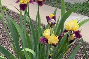 6120 242nd Ave, Paddock Lake, WI 53168 - Photo 27