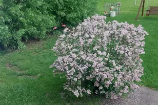 425 Church St, Holmen, WI 54636 - Photo 33