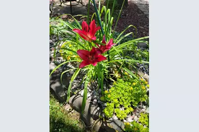 520 N 4th Ave, Lohrville, WI 54970 - Photo 43