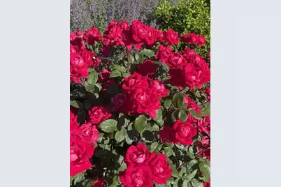 2216  11th St, Somers, WI 53140 - Photo 53