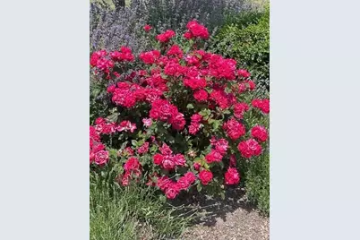 2216  11th St, Somers, WI 53140 - Photo 47