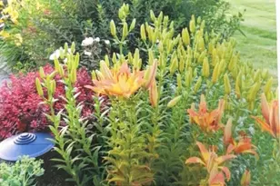 702 W Haddonstone Pl, Mequon, WI 53092 - Photo 33