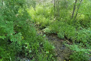 E11695 Chadwick Hollow Rd, Liberty, WI 54664 - Photo 41