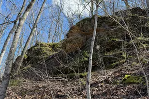 E11695 Chadwick Hollow Rd, Liberty, WI 54664 - Photo 29