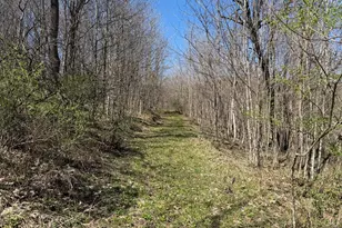 E11695 Chadwick Hollow Rd, Liberty, WI 54664 - Photo 37