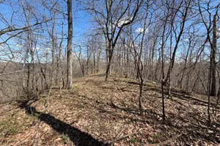E11695 Chadwick Hollow Rd, Liberty, WI 54664 - Photo 33