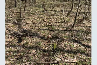 E11695  Chadwick Hollow Rd, Liberty, WI 54664 - Photo 35