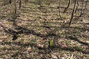 E11695 Chadwick Hollow Rd, Liberty, WI 54664 - Photo 35