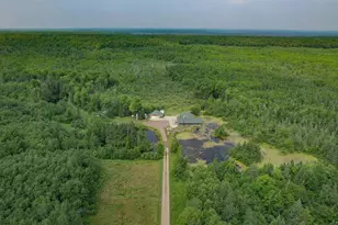 W10905 Otto Rd, Corning, WI 54452 - Photo 41