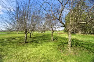 W3770 Mc Cabe Rd, Taycheedah, WI 53049 - Photo 57