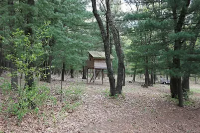 N8962  State Road 162 -, Burns, WI 54644 - Photo 87