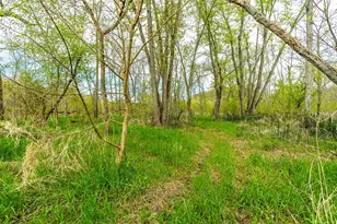 31821 State Hwy 131 -, Wauzeka, WI 53826 - Photo 47