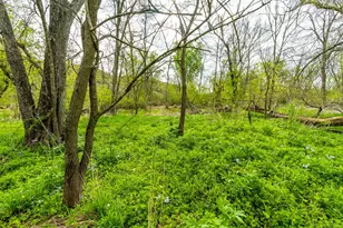 31821 State Hwy 131 -, Wauzeka, WI 53826 - Photo 41
