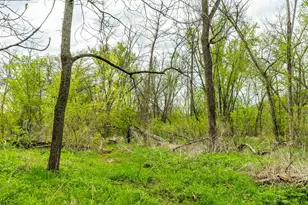 31821 State Hwy 131 -, Wauzeka, WI 53826 - Photo 43