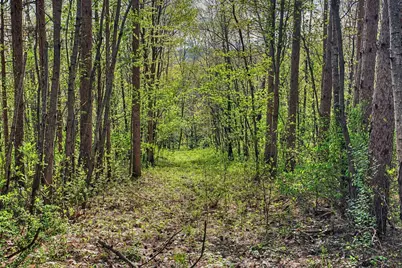 N2487  Nuttelman Rd, La Crosse, WI 54601 - Photo 57