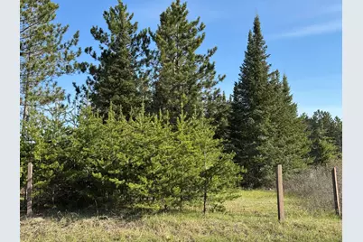 Lt0  County Road X #Deer Lake Rd, Stephenson, WI 54114 - Photo 1