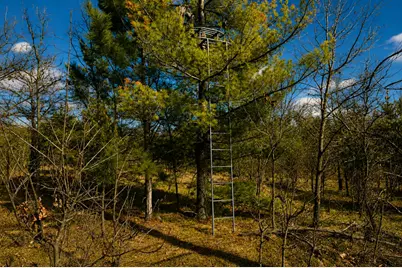 Lt0  10th Ave, Necedah, WI 54646 - Photo 13