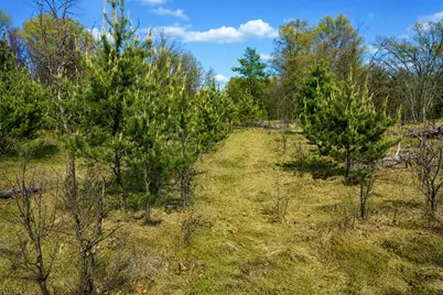 Lt0  10th Ave, Necedah, WI 54646 - Photo 15