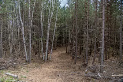 11168  Old 8 -, Little Rice, WI 54487 - Photo 63