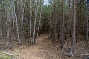 11168 Old 8, Little Rice, WI 54487 - Photo 63