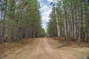 11168 Old 8, Little Rice, WI 54487 - Photo 65
