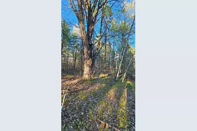 N1057  Borglin Ave, Levis, WI 54456 - Photo 39