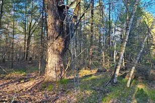 N1057 Borglin Ave, Levis, WI 54456 - Photo 39