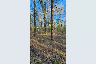 N1057  Borglin Ave, Levis, WI 54456 - Photo 35