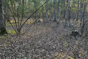 N1057 Borglin Ave, Levis, WI 54456 - Photo 33