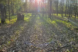 N1057 Borglin Ave, Levis, WI 54456 - Photo 37