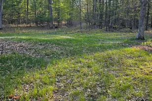 N1057 Borglin Ave, Levis, WI 54456 - Photo 27